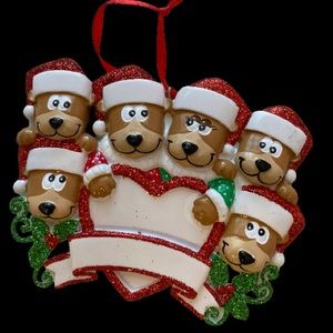 Brand New customizable ornament